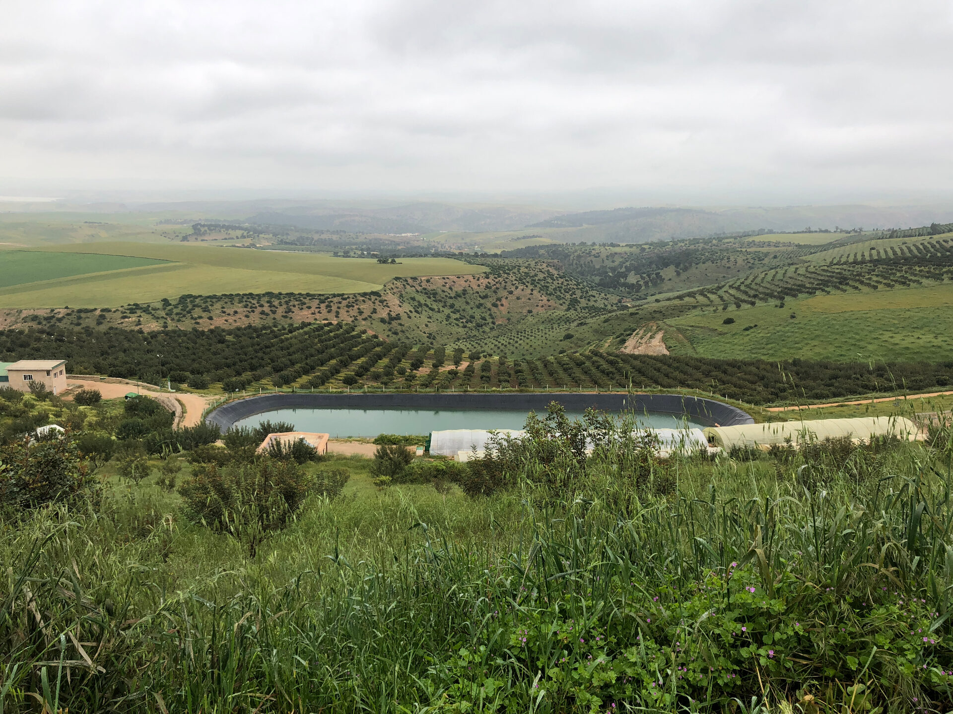 Vue panoramique du domaine